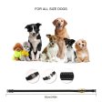 800 Yards Remote Dog Training Collar with Waterproof and Rechargeable