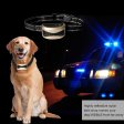 800 Yards Remote Dog Training Collar with Waterproof and Rechargeable