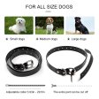 Dog Training Collar with Remote Rechargeable and Waterproof Pet Trainer