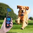 Dog Training Collar with Remote Rechargeable and Waterproof Pet Trainer