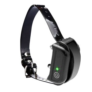 Dog Training Collar with Remote Rechargeable and Waterproof M613/M623/M633 Receiver Collar
