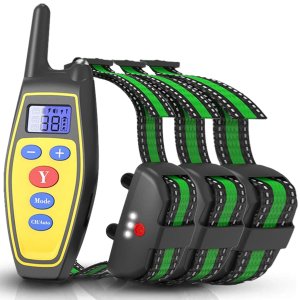 2 in 1 Dog Training Collar Automatic Anti Bark Control with Remote Rechargeable and Rainproof