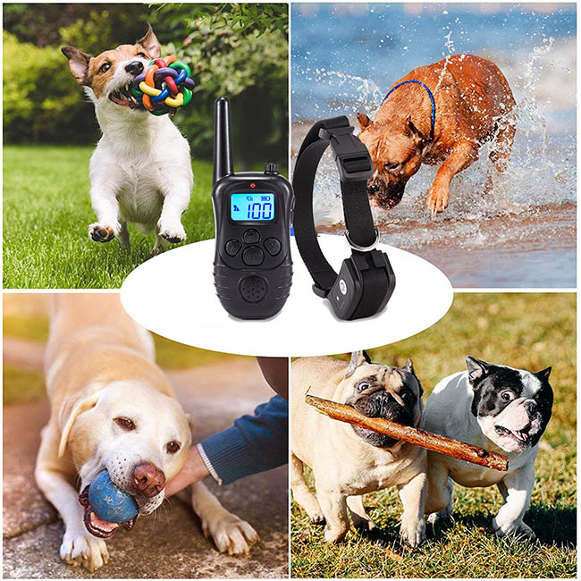 Dog Training Collar with Wireless Remote Rechargeable 300M