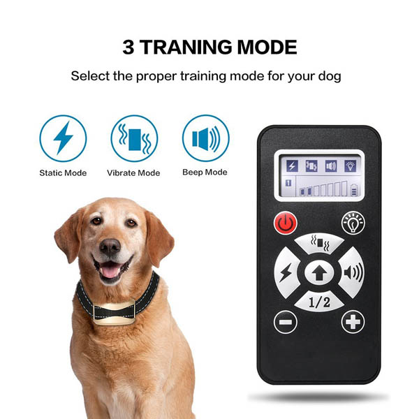 800 Yards Remote Dog Training Collar with Waterproof and Rechargeable