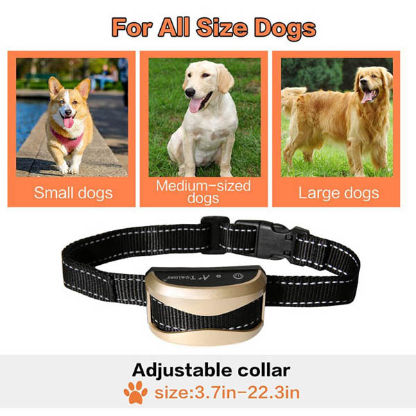 Remote Dog Training Collar with 800 Yards for 2 dogs