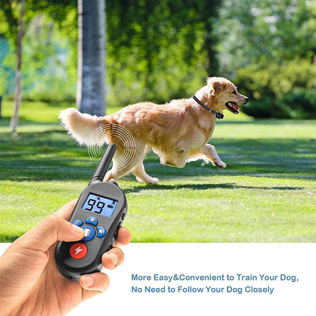 Dog Training Collar with Remote Rechargeable and Waterproof Pet Trainer