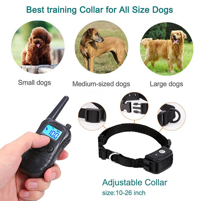 Dog Training Collars Electric Dog Collar 300m for 2 Dogs