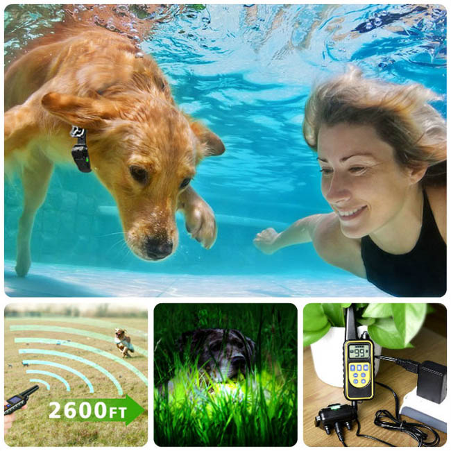 dog training collar 800M remote rechargeable and waterproof dog trainer for 3 dogs